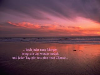 ...doch jeder neue Morgen bringt sie uns wieder zurück und jeder Tag gibt uns eine neue Chance... 