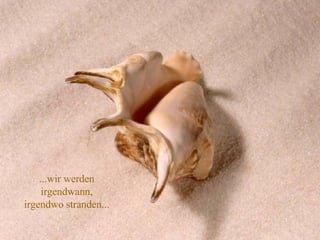 ...wir werden irgendwann, irgendwo stranden... 