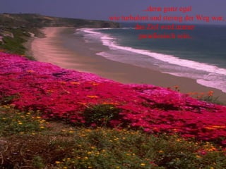 ...denn ganz egal wie turbulent und steinig der Weg war, das Ziel wird immer  paradiesisch sein... 