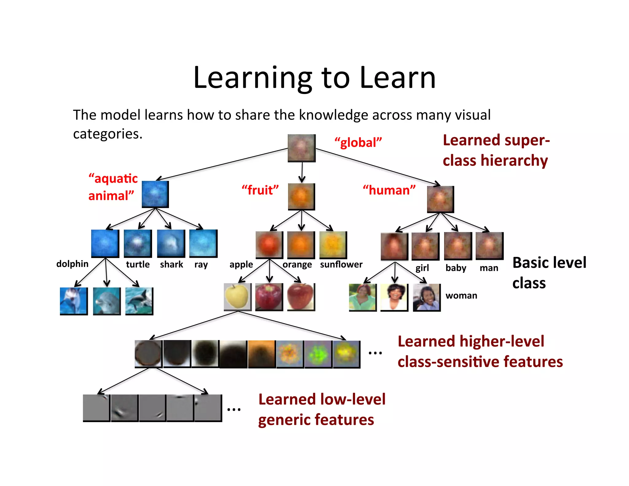 Learning	
  to	
  Learn	
  
     The	
  model	
  learns	
  how	
  to	
  share	
  the	
  knowledge	
  across	
  many	
  visual	
  
     categories.	
                                                                    Learned	
  super-­‐
                                                                                “global”	
  
                                                                                                                  class	
  hierarchy	
  
          “aqua;c	
  
          animal”	
                                 “fruit”	
                           “human”	
  




dolphin	
        turtle	
   shark	
   ray	
     apple	
           orange	
   sunﬂower	
                girl	
     baby	
     man	
     Basic	
  level	
  	
  
                                                                                                                                       class	
  
                                                                                                                  woman	
  




                                                                                            …	
     Learned	
  higher-­‐level	
  
                                                                                                    class-­‐sensi;ve	
  features	
  

                                                …	
         Learned	
  low-­‐level	
  
                                                            generic	
  features	
  
 