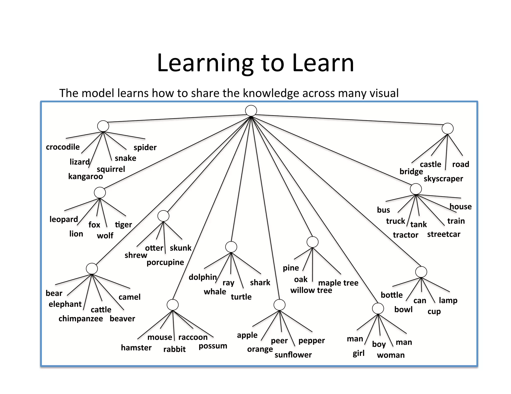 Learning	
  to	
  Learn	
  
    The	
  model	
  learns	
  how	
  to	
  share	
  the	
  knowledge	
  across	
  many	
  visual	
  
    categories.	
  
                                                                                      “global”	
                    Learned	
  super-­‐
crocodile	
                     spider	
  
                                                                                                                    class	
  hierarchy	
  
           “aqua;c	
    snake	
  
        lizard	
                                         “fruit”	
                          “human”	
                                  castle	
   road	
  
           animal”	
  
                   squirrel	
                                                                                                     bridge	
  
        kangaroo	
                                                                                                                       skyscraper	
  


                                                                                                                       bus	
                     house	
  
 leopard	
  
  dolphin	
     fox	
   turtle	
   shark	
   ray	
   apple	
        orange	
   sunﬂower	
                                   truck	
   Basic	
  level	
  	
  
                                                                                                                                                train	
  
                          ;ger	
                                                                         girl	
     baby	
   man	
   tank	
  
        lion	
   wolf	
                                                                                                        tractor	
   streetcar	
  
                                                                                                                                           class	
  
                                     oMer	
   skunk	
                                                               woman	
  
                             shrew	
  
                                      porcupine	
  
                                                                                        pine	
  
                                                    dolphin	
                              oak	
   maple	
  tree	
  
bear	
  
                                                              ray	
  
                                                          whale	
  
                                                                          shark	
  
                                                                                              …	
      Learned	
  higher-­‐level	
  
                                                                                          willow	
  tree	
  
                          camel	
                                   turtle	
                                         boMle	
  
 elephant	
  
           caMle	
  
                                                                                                       class-­‐sensi;ve	
   can	
   lamp	
  
                                                                                                                        bowl	
   cup	
  
    chimpanzee	
   beaver	
                                                                           features	
  
                                 mouse	
   raccoon	
   Learned	
  low-­‐level	
  
                                                    …	
      apple	
  
                                                                       peer	
   pepper	
                     man	
  
                                                                                                                         boy	
   man	
  
                                                       generic	
  features	
  
                           hamster	
   rabbit	
   possum	
     orange	
  
                                                                        sunﬂower	
                              girl	
   woman	
  
 