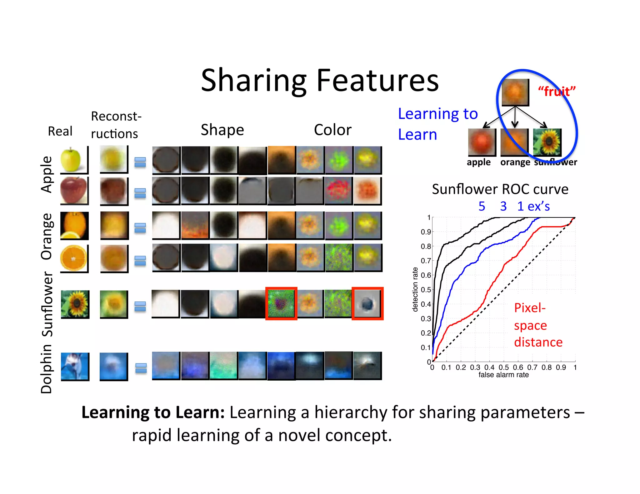 Sharing	
  Features	
                                                                            “fruit”	
  
                                                 Reconst-­‐	
                                              Learning	
  to	
  
                         Real	
                  ruc:ons	
            Shape	
              Color	
         Learn	
  
Dolphin	
   Sunﬂower	
   Orange	
   Apple	
  




                                                                                                                                           apple	
   orange	
   sunﬂower	
  

                                                                                                                                     Sunﬂower	
  ROC	
  curve	
  
                                                                                                                                              5  3	
  	
  	
  1	
  ex’s	
  	
  
                                                                                                                                1
                                                                                                                               0.9
                                                                                                                               0.8
                                                                                                                               0.7




                                                                                                              detection rate
                                                                                                                               0.6
                                                                                                                               0.5
                                                                                                                               0.4
                                                                                                                                                             Pixel-­‐
                                                                                                                               0.3
                                                                                                                               0.2
                                                                                                                                                             space	
  	
  
                                                                                                                               0.1                           distance	
  
                                                                                                                                0
                                                                                                                                 0 0.1 0.2 0.3 0.4 0.5 0.6 0.7 0.8 0.9 1
                                                                                                                                              false alarm rate




                                                Learning	
  to	
  Learn:	
  Learning	
  a	
  hierarchy	
  for	
  sharing	
  parameters	
  –	
  
                                                	
   	
   	
  	
  	
  	
  	
  	
  rapid	
  learning	
  of	
  a	
  novel	
  concept.	
  
 