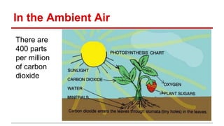 In the Ambient Air
There are
400 parts
per million
of carbon
dioxide
 