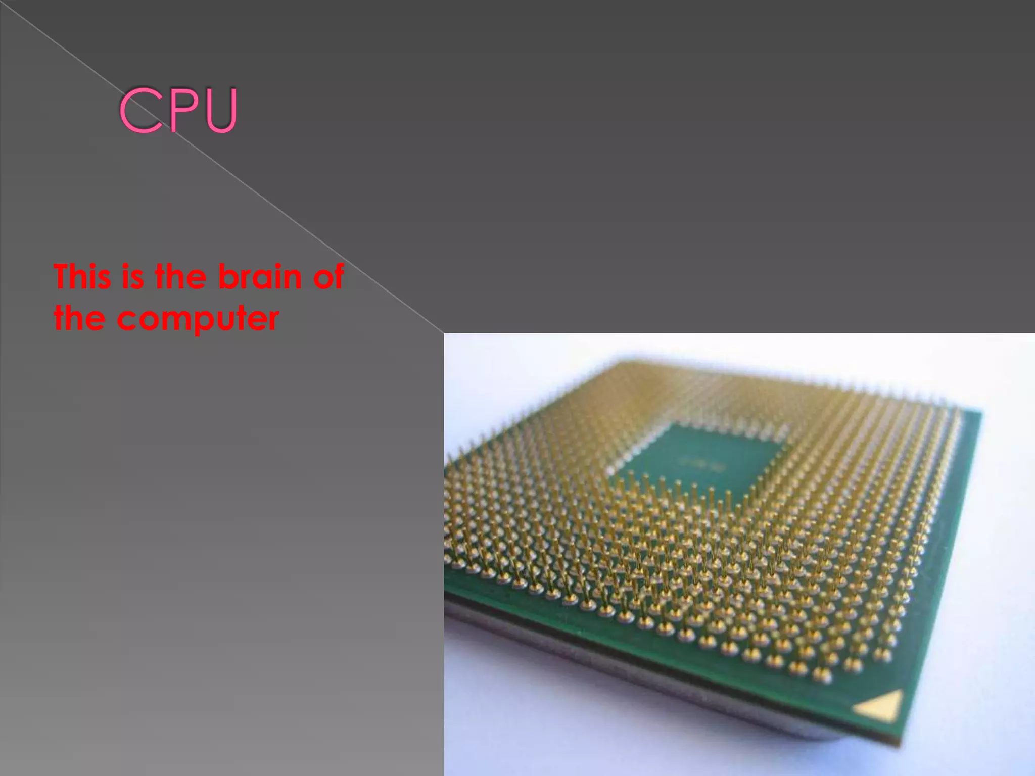 This is the brain of
the computer