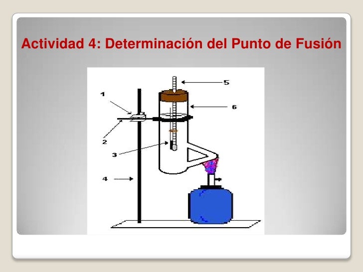 Punto De Fusion De La Harina De Trigo es.slideshare.net