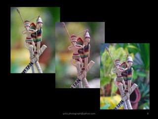 yulia.photograph@yahoo.com 8
 