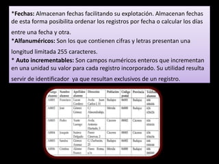 *Fechas: Almacenan fechas facilitando su explotación. Almacenan fechas
de esta forma posibilita ordenar los registros por fecha o calcular los días
entre una fecha y otra.
*Alfanuméricos: Son los que contienen cifras y letras presentan una
longitud limitada 255 caracteres.
* Auto incrementables: Son campos numéricos enteros que incrementan
en una unidad su valor para cada registro incorporado. Su utilidad resulta
servir de identificador ya que resultan exclusivos de un registro.
 