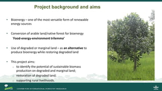 Incorporating Bioenergy Production and Landscape Restoration: Lessons from Central Kalimantan