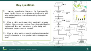 Incorporating Bioenergy Production and Landscape Restoration: Lessons from Central Kalimantan