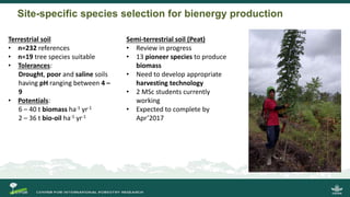 Incorporating Bioenergy Production and Landscape Restoration: Lessons from Central Kalimantan