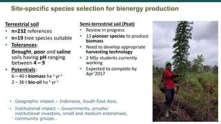 Incorporating Bioenergy Production and Landscape Restoration: Lessons from Central Kalimantan
