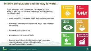 Incorporating Bioenergy Production and Landscape Restoration: Lessons from Central Kalimantan