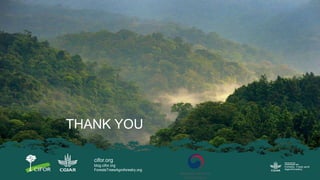 Incorporating Bioenergy Production and Landscape Restoration: Lessons from Central Kalimantan