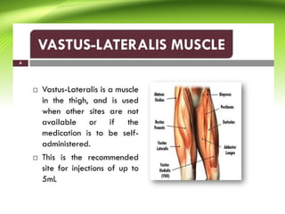 Intra muscular injection procedure.,site