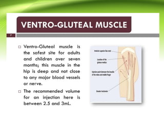 Intra muscular injection procedure.,site