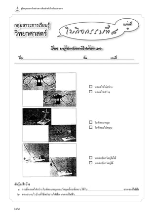 คู่มือครูสอนทางไกลผ่านดาวเทียมสำาหรับโรงเรียนปลายทาง
658
กลุ่มสาระการเรียนรู้
วิทยาศาสตร์
á¼è¹·Õè
๑
ãº¡Ô¨¡ÃÃÁ·Õè ø
¨ หลอดไฟไม่สว่�ง
¨ หลอดไฟสว่�ง
¨ ใบพัดลมหมุน
¨ ใบพัดลมไม่หมุน
¨ มอเตอร์ยกวัตถุไม่ได้
¨ มอเตอร์ยกวัตถุได้
ฉันรู้อะไรบ้าง
๑. ก�รที่หลอดไฟสว่�งใบพัดลมหมุนและวัตถุเคลื่อนที่เพร�ะได้รับ.....................................................................................จ�กเซลล์ไฟฟ้�
๒. ของเล่นอะไรบ้�งที่ใช้พลังง�นไฟฟ้�จ�กเซลล์ไฟฟ้�...................................................................................................................................................
àÃ×èÍ§ ÁÒÃéÙ¨Ñ¡¾ÅÑ§§Ò¹ä¿¿éÒ¡Ñ¹à¶ÍÐ
ª×èÍ..................................................................................................................ªÑé¹............................................àÅ¢·Õè.................................
 
