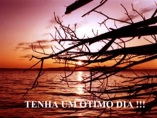 TENHA UM ÓTIMO DIA !!!
 