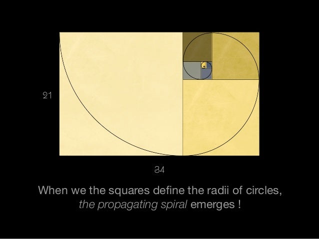 Understanding the Fibonacci Series - Visual Literacy & Graphic Design