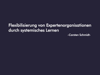 Flexibilisierung von Expertenorganisationen
durch systemisches Lernen
                              -Carsten Schmidt-
 