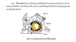 ชุดการเรียนรู้ที่ 11