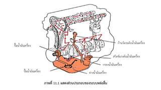 ชุดการเรียนรู้ที่ 11