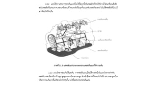 ชุดการเรียนรู้ที่ 11
