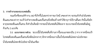 ชุดการเรียนรู้ที่ 11
