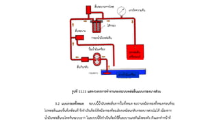 ชุดการเรียนรู้ที่ 11
