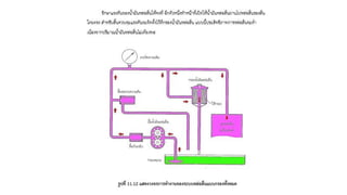 ชุดการเรียนรู้ที่ 11