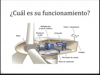 ¿Cuál es su funcionamiento?
 