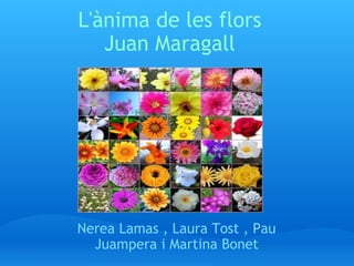 L'ànima de les flors Juan Maragall Nerea Lamas , Laura Tost , Pau Juampera i Martina Bonet 