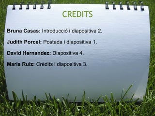 CREDITS Bruna Casas:  Introducció i diapositiva 2. Judith Porcel:  Postada i diapositiva 1. David Hernandez:  Diapositiva 4. Maria Ruiz:  Crèdits i diapositiva 3. 