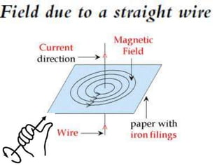 P11 magnetism