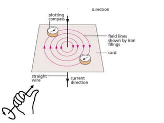 P11 magnetism