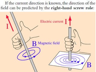 P11 magnetism