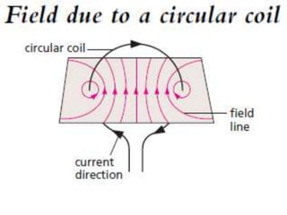 P11 magnetism