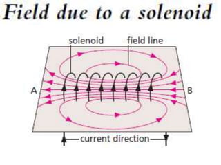 P11 magnetism