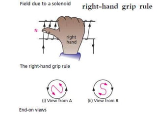 P11 magnetism
