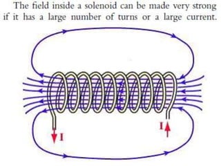 P11 magnetism