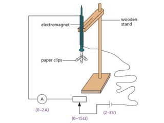 P11 magnetism