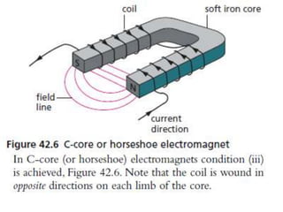 P11 magnetism
