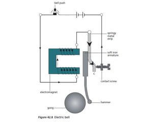 P11 magnetism