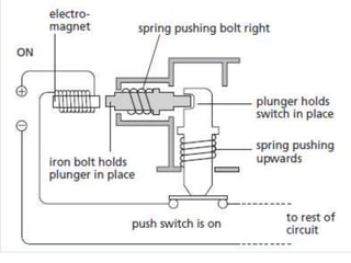 P11 magnetism