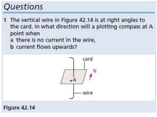 P11 magnetism