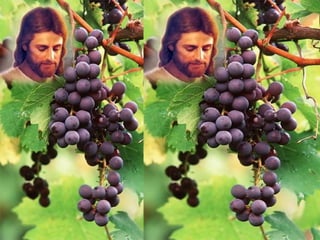 Cristo continua produzindo frutos,
     que agradam ao Pai, por meio
    dos cristãos, que "permanecem"
        sempre unidos a Cristo.




Pe. Antônio Geraldo Dalla Costa CS   - 06.05.2012
 