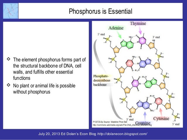Will Peak Phosphate Doom Humanity? Slide 2