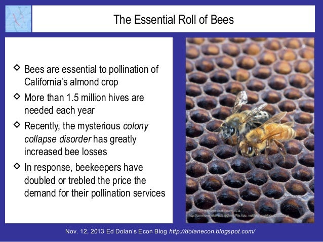 Bees, Cows, and Nuts: Why is the Price of Almonds Soaring? Slide 8