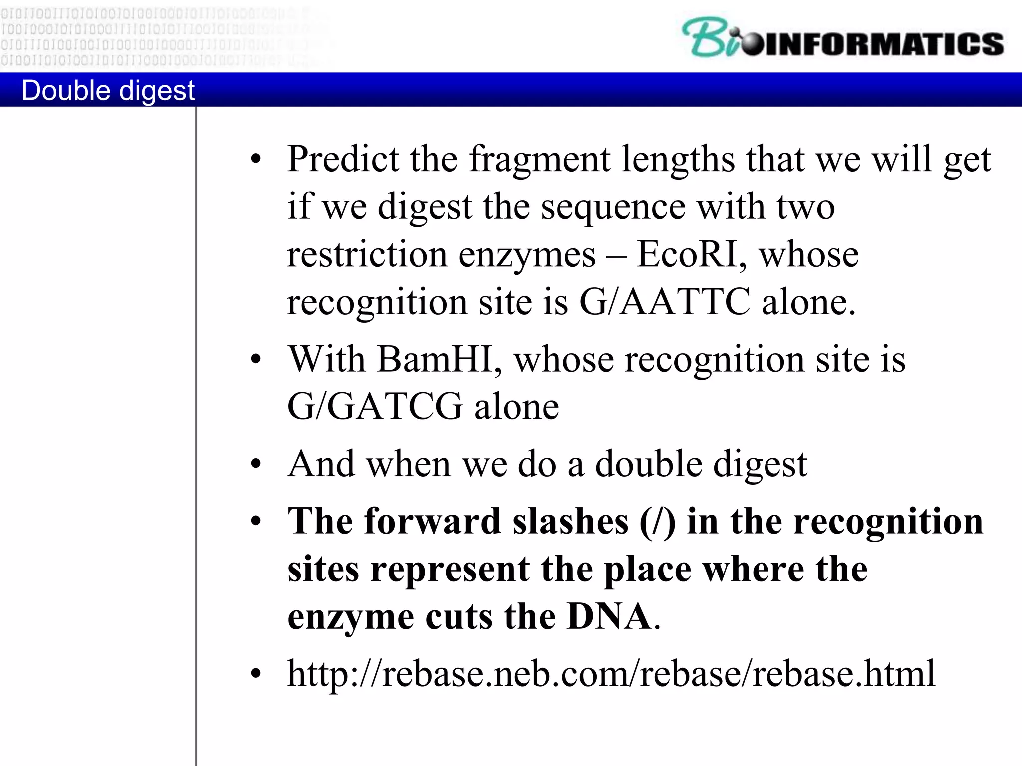 • Predict the fragment lengths that we will get
if we digest the sequence with two
restriction enzymes – EcoRI, whose
recognition site is G/AATTC alone.
• With BamHI, whose recognition site is
G/GATCG alone
• And when we do a double digest
• The forward slashes (/) in the recognition
sites represent the place where the
enzyme cuts the DNA.
• http://rebase.neb.com/rebase/rebase.html
Double digest
 