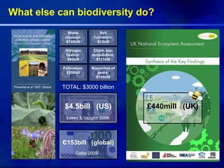 Є153bill (global)
$4.5bill (US)
Waste
disposal:
$760bill
Soil
formation:
$25bill
Nitrogen
fixation:
$90bill
Chem. bio-
remediation:
$121bill
Pollination:
$200bill
Biocontrol of
pests:
$100bill
£440mill (UK)
Losey & Vaughn 2006
Gallai 2009
Pimental et al 1997: Global TOTAL: $3000 billion
What else can biodiversity do?
 