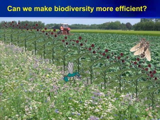 Can we make biodiversity more efficient?
 